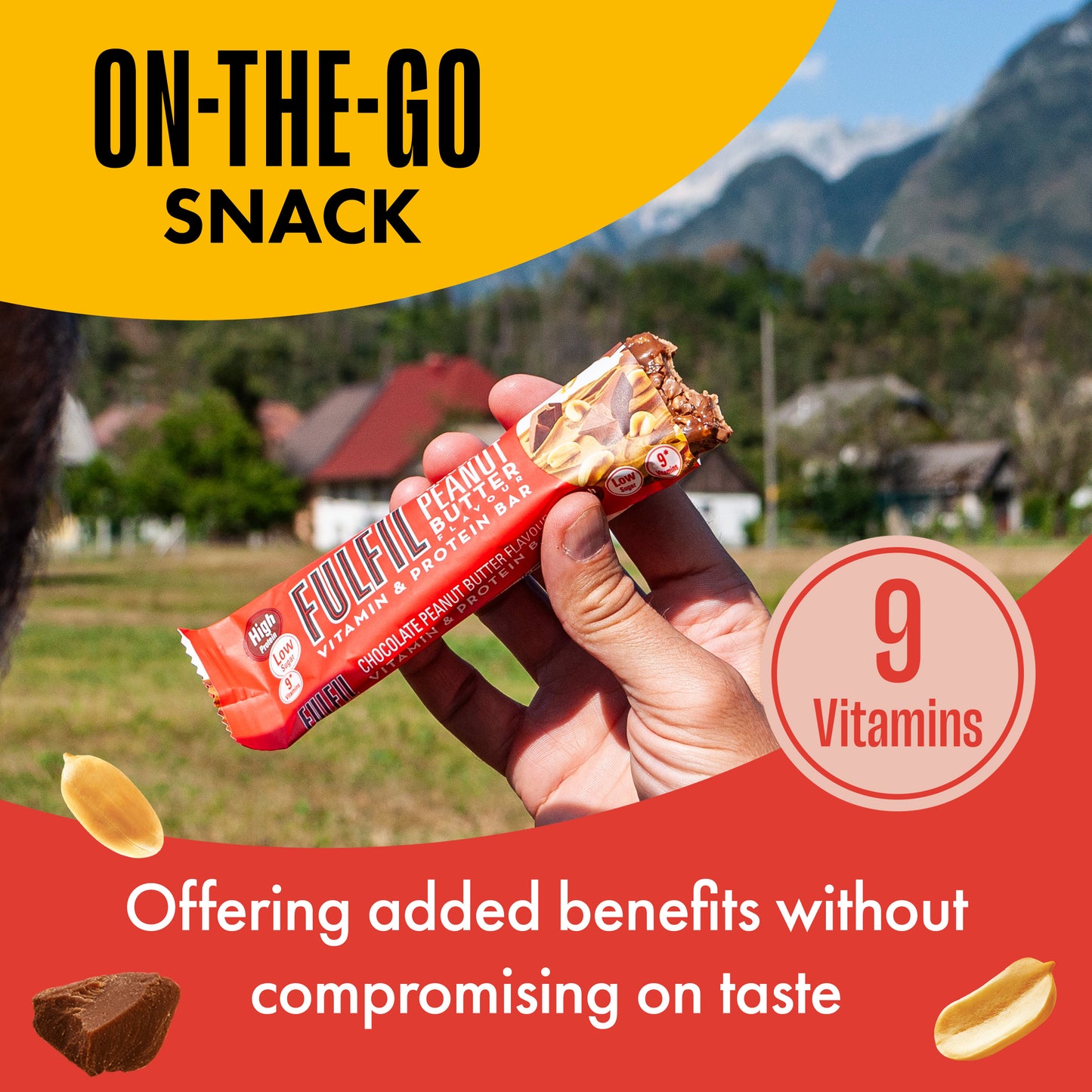 Chocolate Peanut Butter Protein Bar - 15x55g